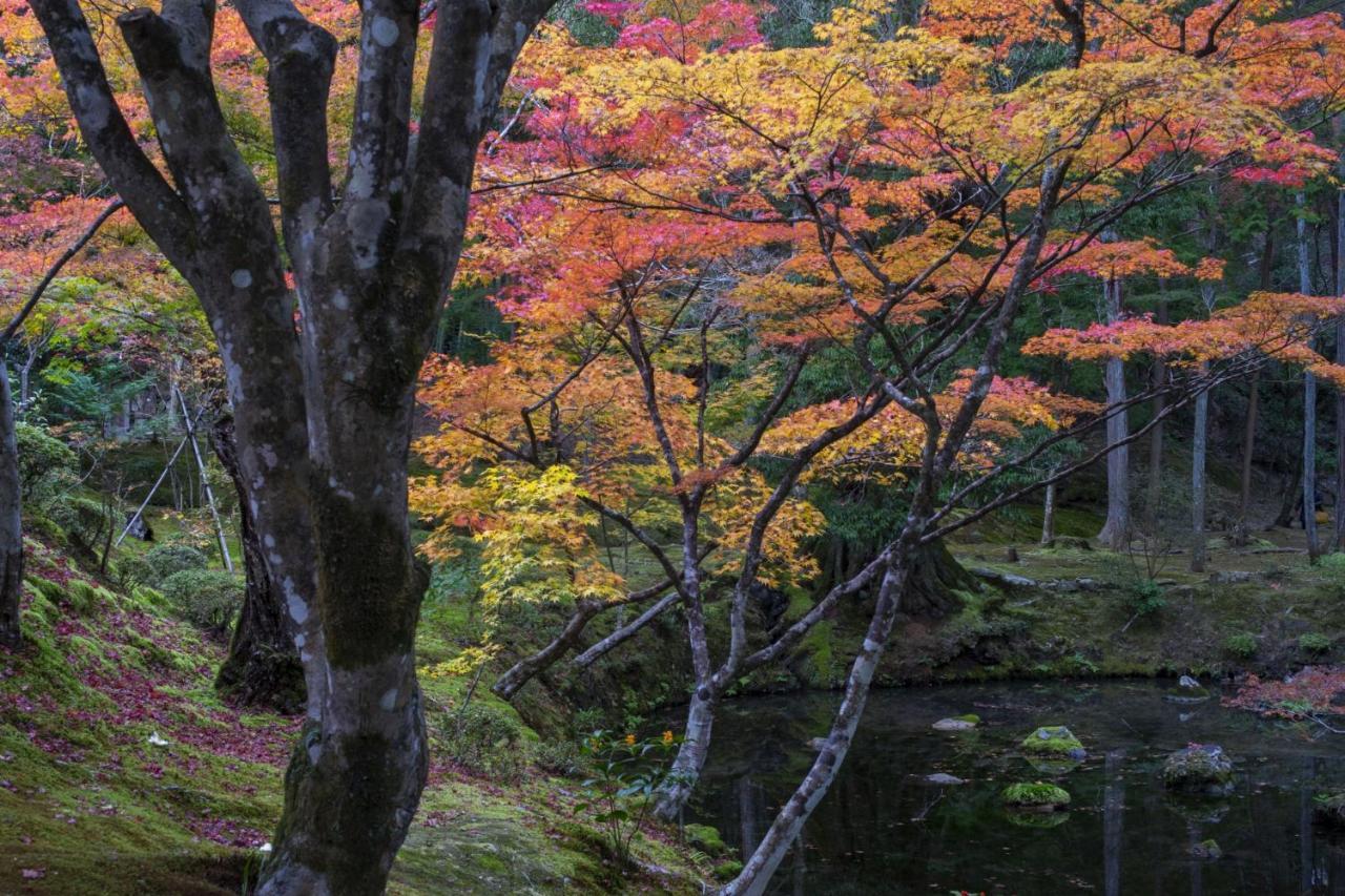 Hotel Arrows Arashiyama 京都 外观 照片